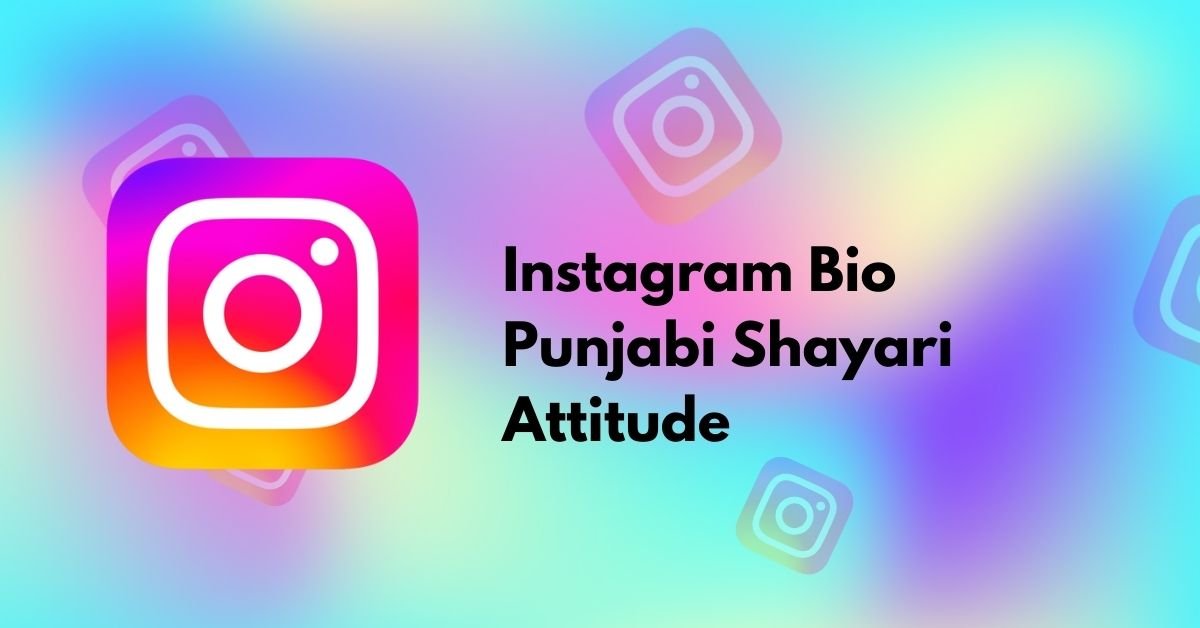 Instagram Bio Punjabi Shayari Attitude