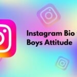 Instagram Bio for Boys Attitude