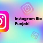 Instagram Bio in Punjabi