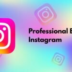 Professional Bio for Instagram